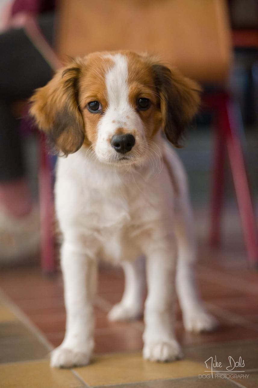 12 weeks 2