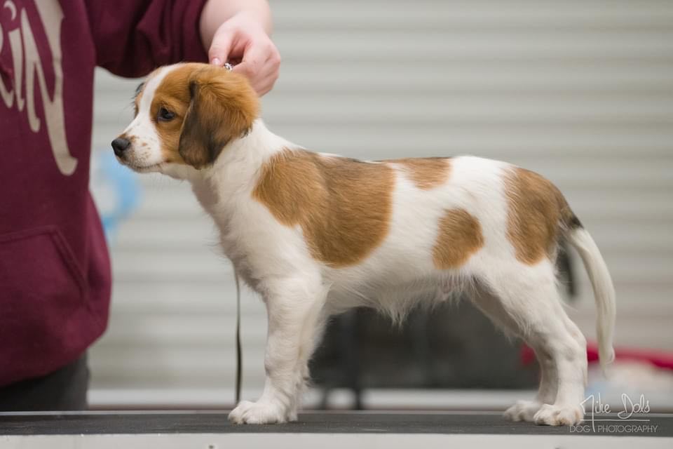 12 weeks 4