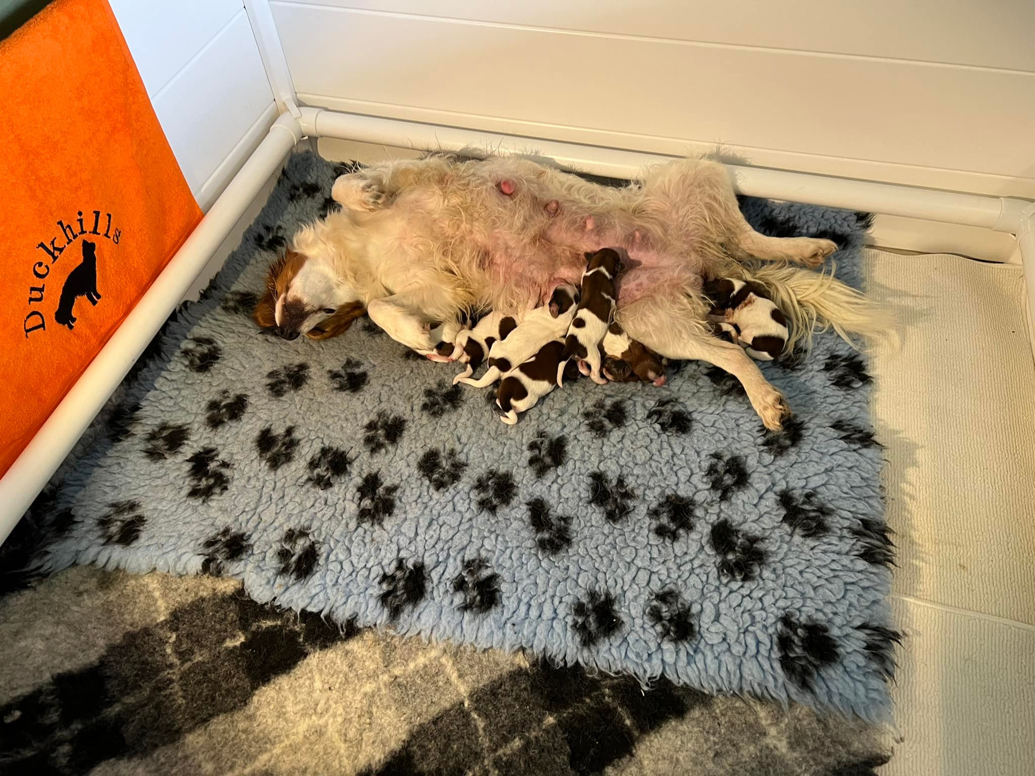 week 1