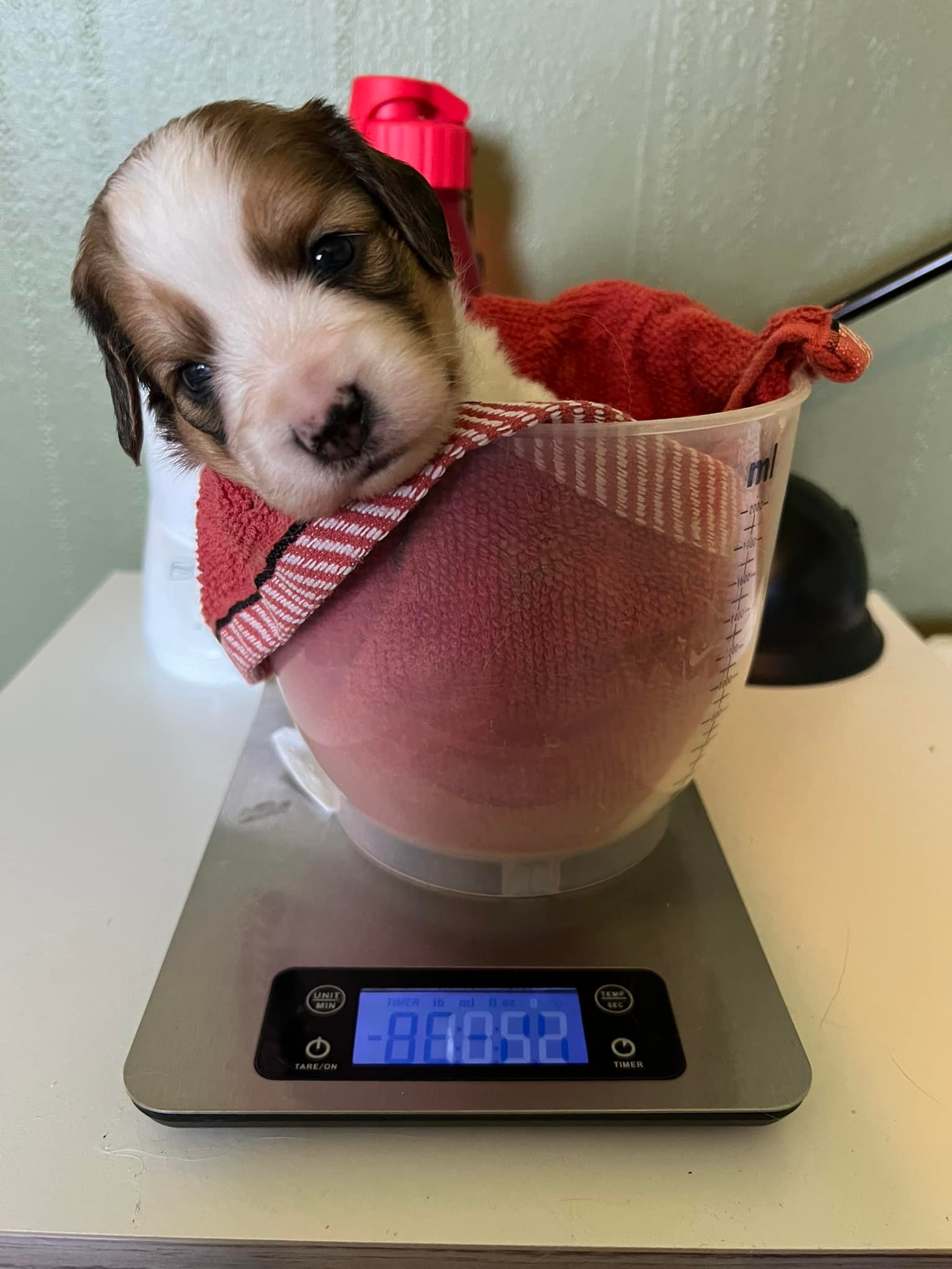 week 3 JY 21